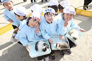 ふれあい動物園　たのしかったね　年中組　ひよこ・あひる・ぺんぎん　NO.2