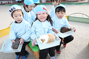 ふれあい動物園　たのしかったね　年中組　ひよこ・あひる・ぺんぎん　NO.2