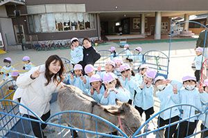 ふれあい動物園　たのしかったね　年中組　ひよこ・あひる・ぺんぎん　NO.2
