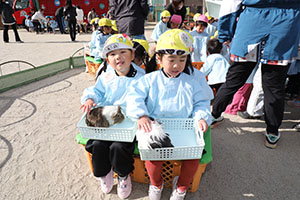 ふれあい動物園　たのしかったね　年中組　ひよこ・あひる・ぺんぎん　NO.1