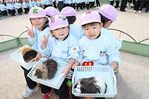 ふれあい動物園　たのしかったね　年中組　ひよこ・あひる・ぺんぎん　NO.1