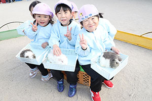 ふれあい動物園　たのしかったね　年中組　ひよこ・あひる・ぺんぎん　NO.1