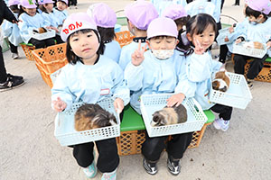 ふれあい動物園　たのしかったね　年中組　ひよこ・あひる・ぺんぎん　NO.1