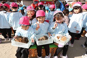 ふれあい動物園　たのしかったね　年中組　ひよこ・あひる・ぺんぎん　NO.1