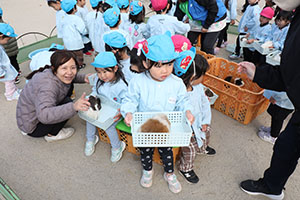 ふれあい動物園　たのしかったね　年中組　ひよこ・あひる・ぺんぎん　NO.1