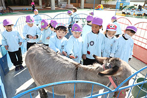 ふれあい動物園　たのしかったね　年長組