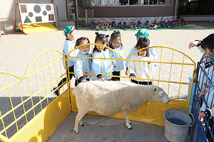 ふれあい動物園　たのしかったね　年長組