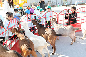 ふれあい動物園　たのしかったね　年長組