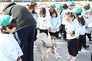 ふれあい動物園　たのしかったね　年長組