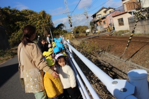 お散歩へでかけました　あひる・さくら