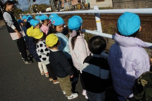 お散歩へでかけました　あひる・さくら