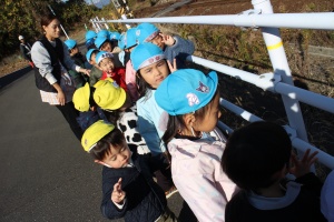 お散歩へでかけました　あひる・さくら