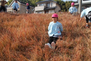 お散歩たのしかったね　ばら・C