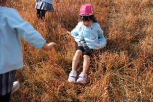 お散歩たのしかったね　ばら・C