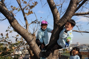 お散歩たのしかったね　ばら・C