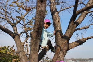 お散歩たのしかったね　ばら・C