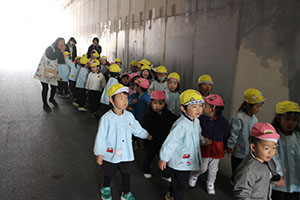 お散歩へでかけました　ひよこ・ひまわり