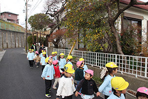 お散歩へでかけました　ひよこ・ひまわり