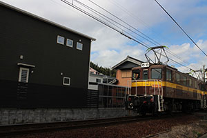 お散歩へでかけました　ひよこ・ひまわり