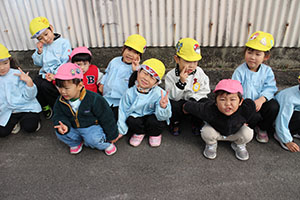 お散歩へでかけました　ひよこ・ひまわり