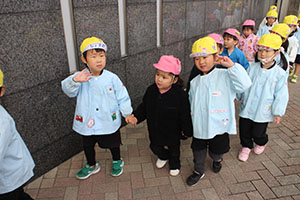 お散歩へでかけました　ひよこ・ひまわり