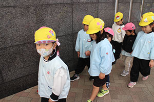 お散歩へでかけました　ひよこ・ひまわり