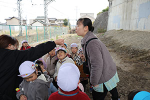 お散歩へでかけました　ぺんぎん・たんぽぽ