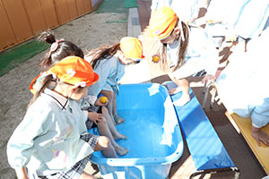 日本の伝統　ー年賀状・足湯ー　E