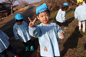 お散歩へでかけました　ひよこ・あひる・ぺんぎん
