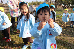 お散歩へでかけました　ひよこ・あひる・ぺんぎん