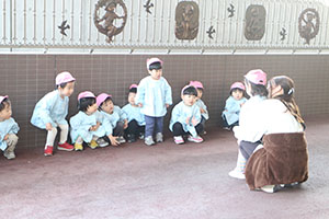 お散歩へでかけました　ひよこ・あひる・ぺんぎん