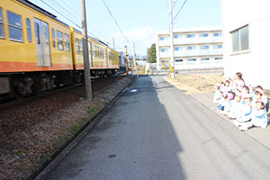 お散歩へでかけました　ひよこ・あひる・ぺんぎん