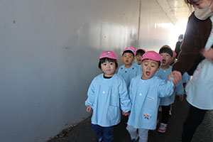 お散歩へでかけました　ひよこ・あひる・ぺんぎん