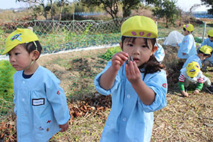 お散歩へでかけました　ひよこ・あひる・ぺんぎん