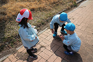 お散歩へでかけました　さくら・りす