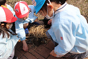お散歩へでかけました　さくら・りす