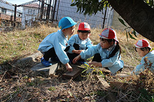 お散歩へでかけました　さくら・りす