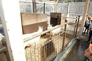 お別れ遠足で南部丘陵公園に行きました　年長組 NO.1