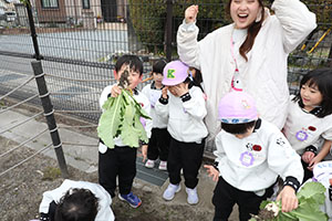 育てたカブを収穫しました　すみれ