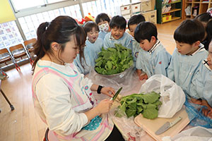 育てたカブいただきます　すみれ