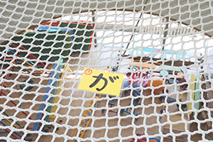 3月生まれのお誕生会　ー宝探しー　年中