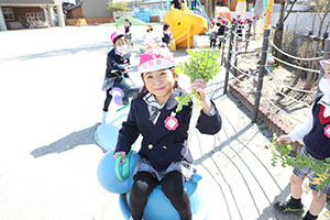 育てた大根を収穫しました✨　ばら