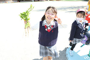 育てた大根を収穫しました✨　ばら