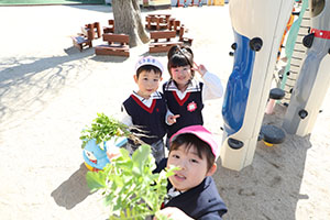 育てた大根を収穫しました✨　ばら