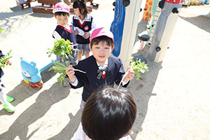 育てた大根を収穫しました✨　ばら