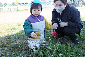 お散歩へでかけました　ぺんぎん