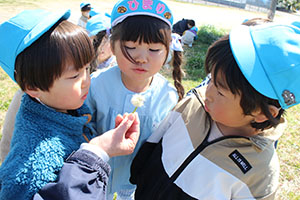 お散歩へでかけました　ぺんぎん