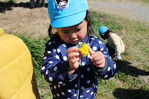 お散歩へでかけました　ぺんぎん