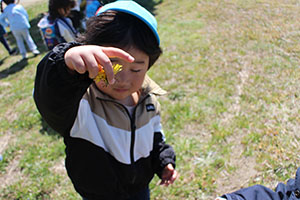 お散歩へでかけました　ぺんぎん