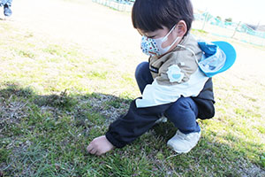 お散歩へでかけました　ぺんぎん